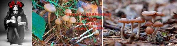 мефедрон Абаза